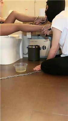 金克丝升水暴力开发 bf50877