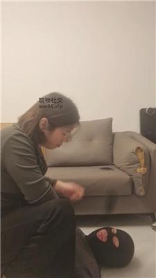 嘉欣玉足深喉高跟踩踏/骑马虐乳 JS250113-14