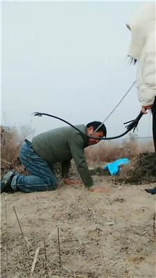 沐颜户外鞭打跟踪狂/体验活埋双视角版JS250111-25