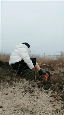 沐颜户外鞭打跟踪狂/体验活埋双视角版JS250111-25