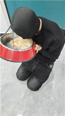 宝宝大人s刑架枷锁囚禁-重度鞭打-狗盆喂食 JS250109-13
