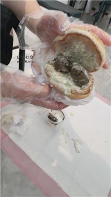 喵喵大王211女神制作黄金汉堡    250108-1