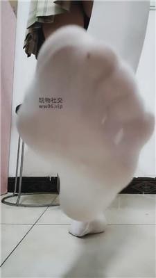 杪杪媚黑羞辱    250306-8