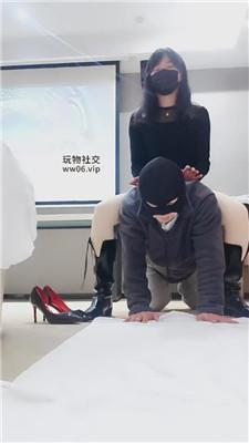 米小唐给狗过个特殊生日 JS250304-37