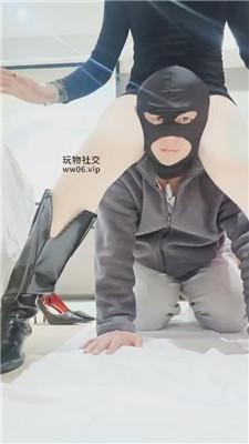 米小唐给狗过个特殊生日 JS250304-37