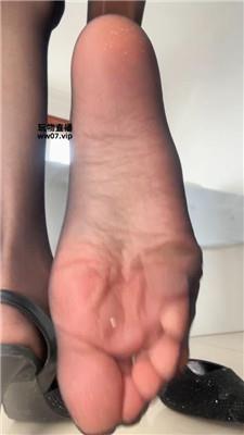 酒鸽灯    250313-11