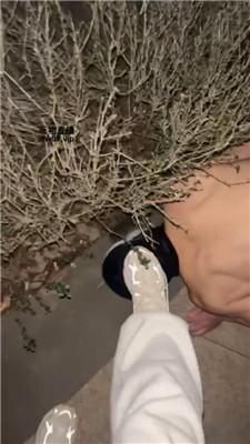 吕雉户外-舔脏小白鞋白袜 bf51460