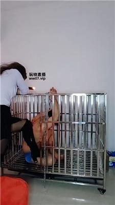 【爱秀套图】【纱月桃】囚禁狗笼强制虐JS250328-35-绳界 – 绳艺爱好者交流与分享