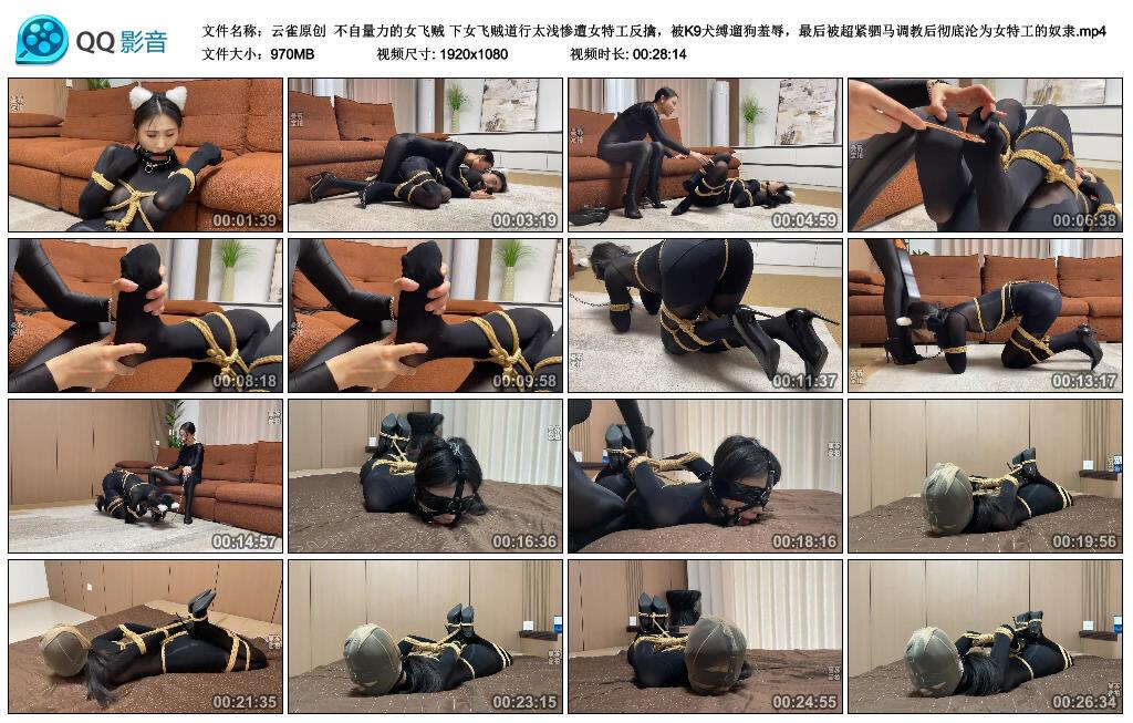 云雀原创不自量力的女飞贼 下