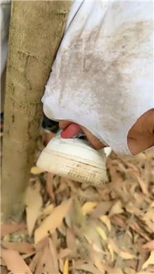 暴主户外强迫舔小白鞋处刑 bf51809