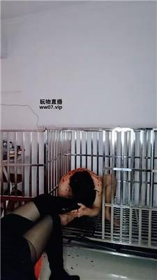 纱月桃囚禁狗笼强制虐 JS250328-35