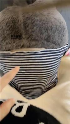 安安sama碾压踩踏-玉足狂舔 JS250331-28