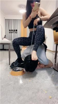 南月女神狗爬喂食-骑马物化家具奴 JS250414-26