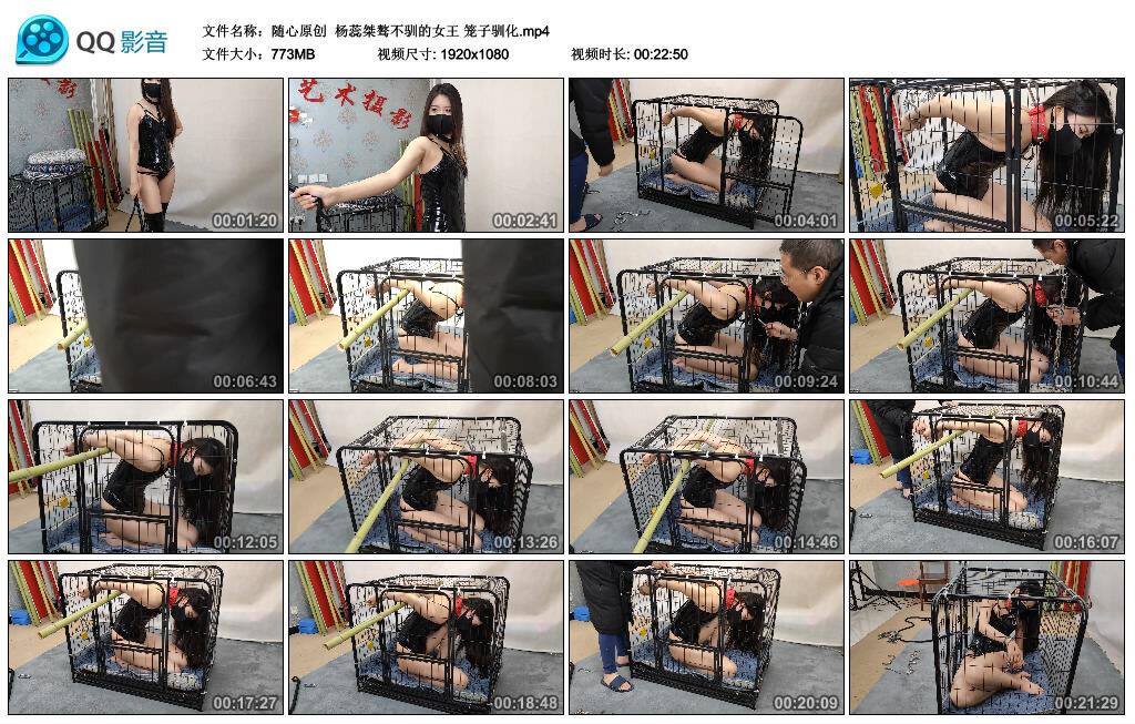 随心原创杨蕊桀骜不驯的女王 笼子驯化